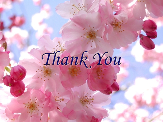 Thank You  (Photo credits http://mareenasrecipecollections.com/?attachment_id=312)
